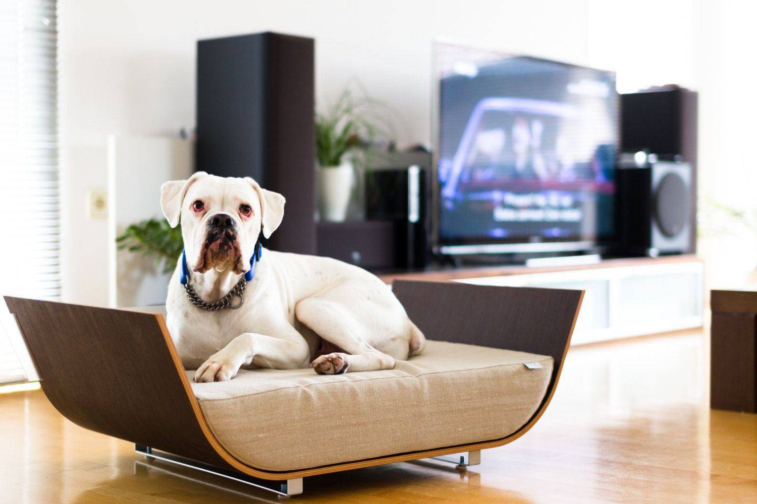 Cosiness per un animale domestico: mobili da  Furnoviajex 